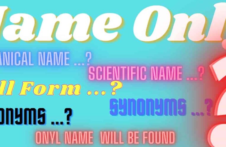 Name only – first method of identification