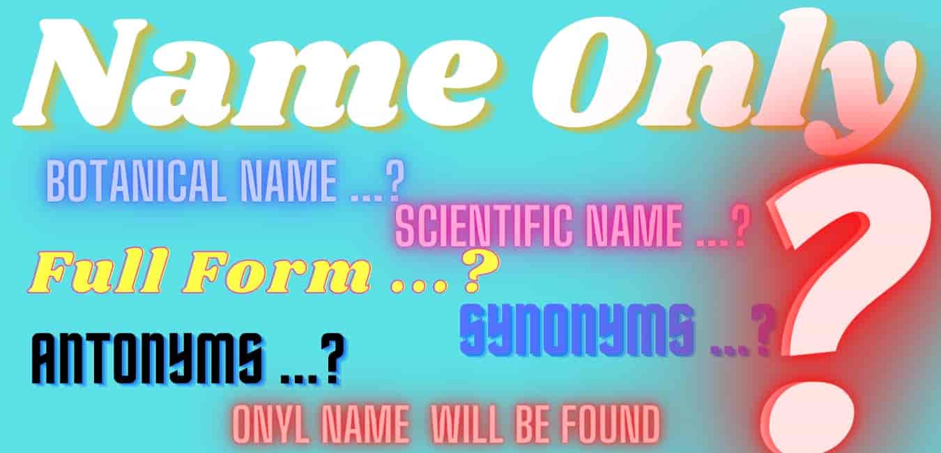 Name-only