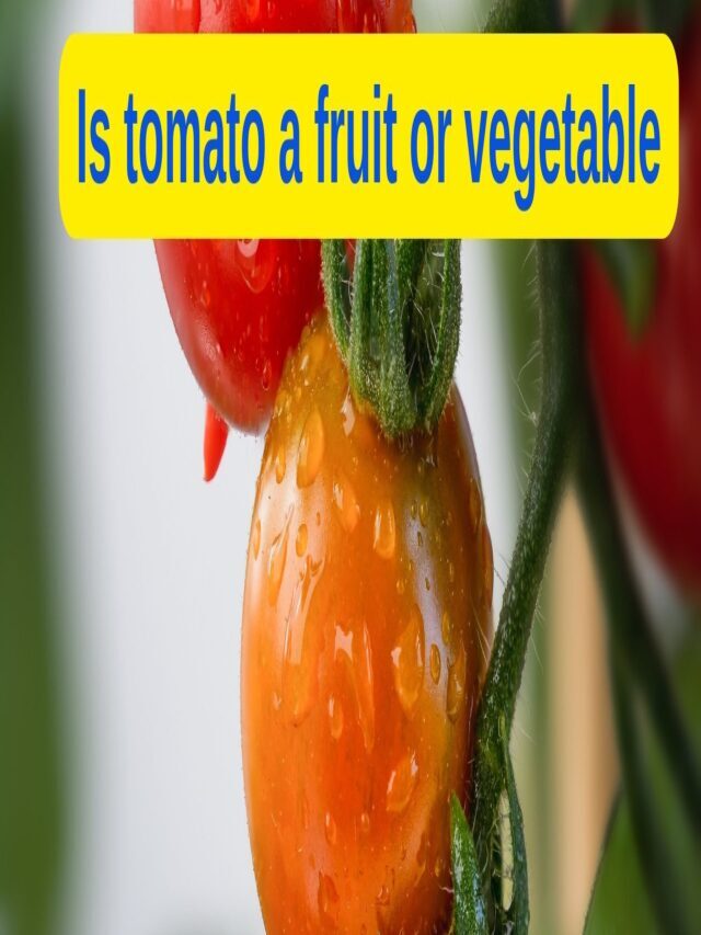 Is tomato a fruit or vegetable